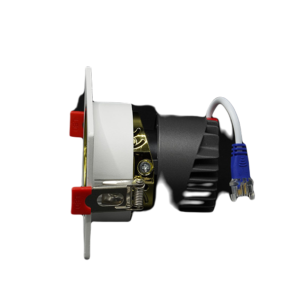 داون لايت 19